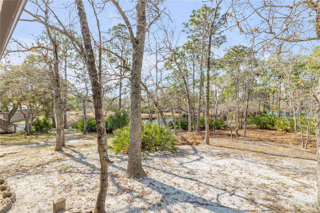 47 Crooked Pine Road Port Orange, FL 32128 - Photo 31 of 41 a view of road with trees