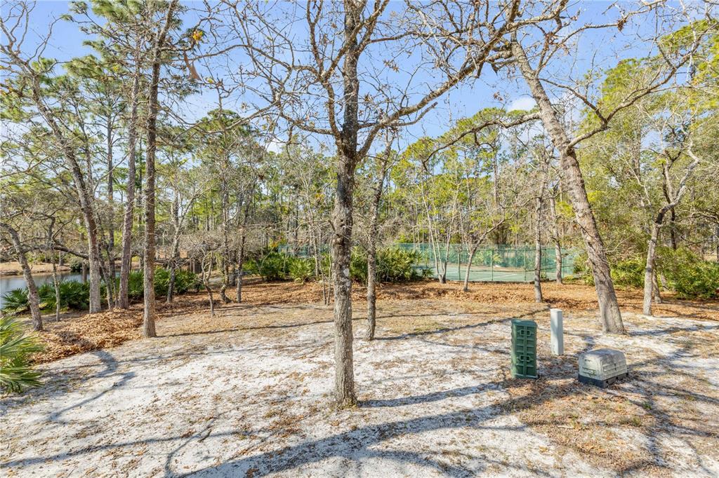 47 Crooked Pine Road Port Orange, FL 32128 - Photo 32 of 41 a view of a yard with plants and trees