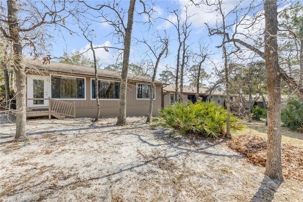 47 Crooked Pine Road Port Orange, FL 32128 - Photo 33 of 41 a big tree in middle of the garden