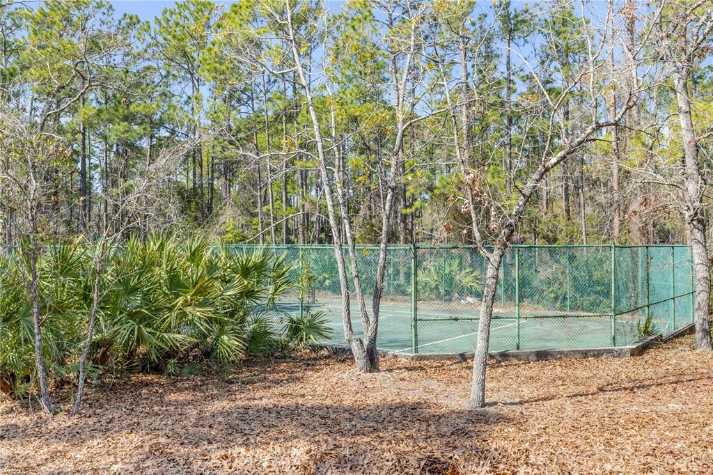 47 Crooked Pine Road Port Orange, FL 32128 - Photo 34 of 41 a backyard of a house with lots of trees