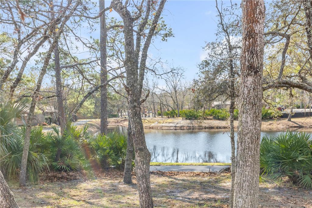 47 Crooked Pine Road Port Orange, FL 32128 - Photo 35 of 41 a view of a tree in a yard next to a large tree