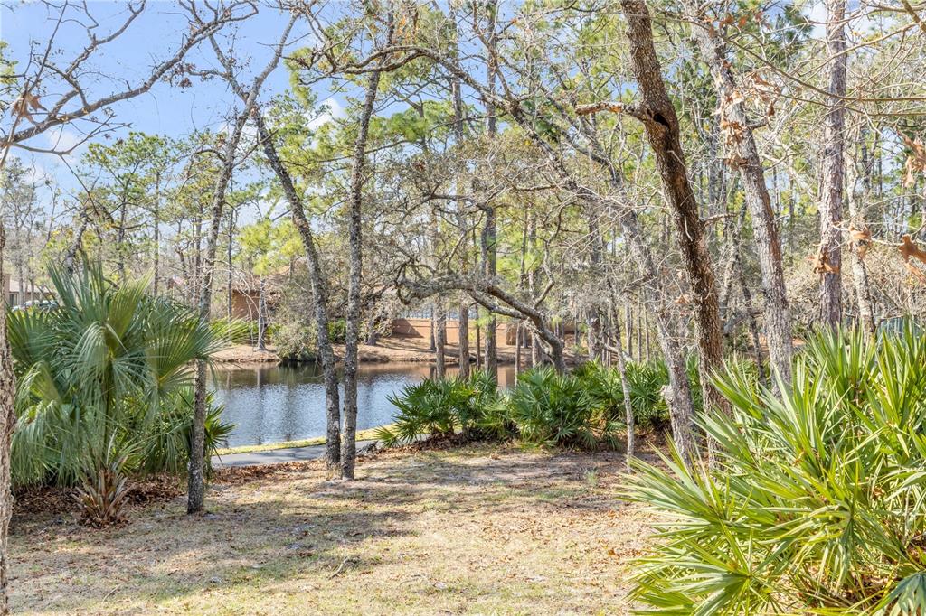 47 Crooked Pine Road Port Orange, FL 32128 - Photo 36 of 41 a house with trees in front of it
