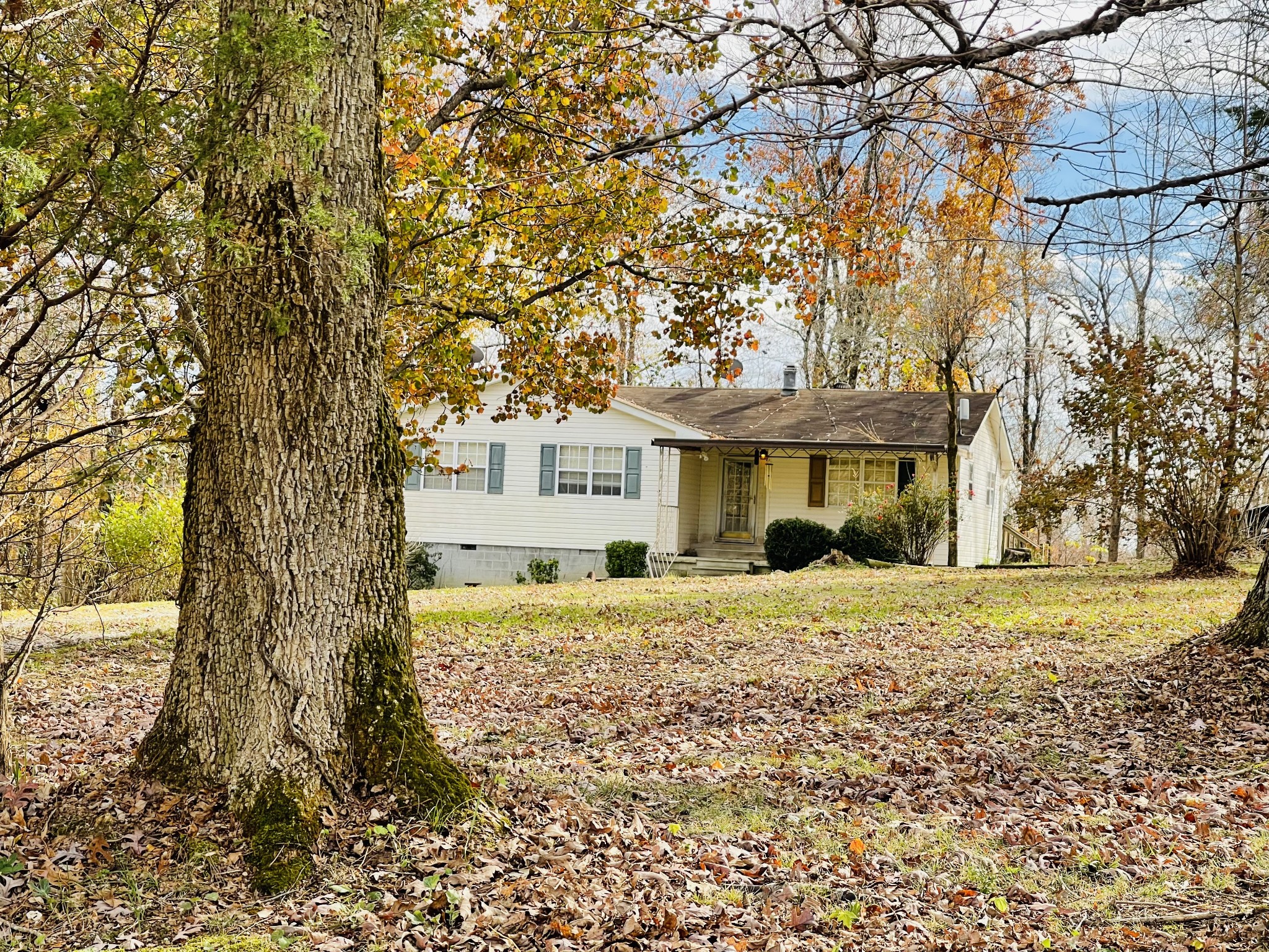 2117 Tidwell Switch Road Bon Aqua, TN 37025 - Photo 3 of 19 Gallery Image 3