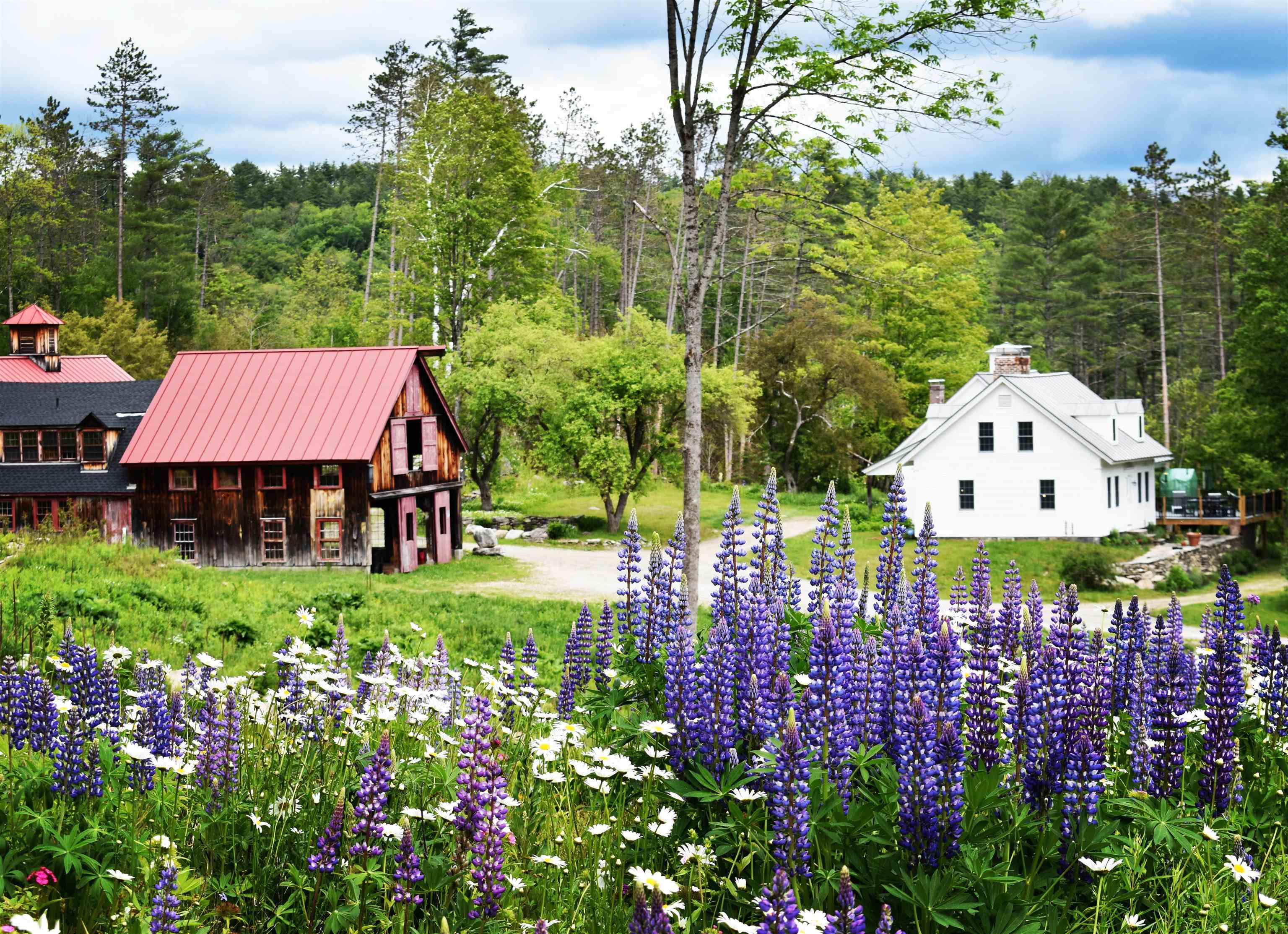 4669 Vermont Rte 100 Londonderry, VT 05148 - Photo 1 of 39
