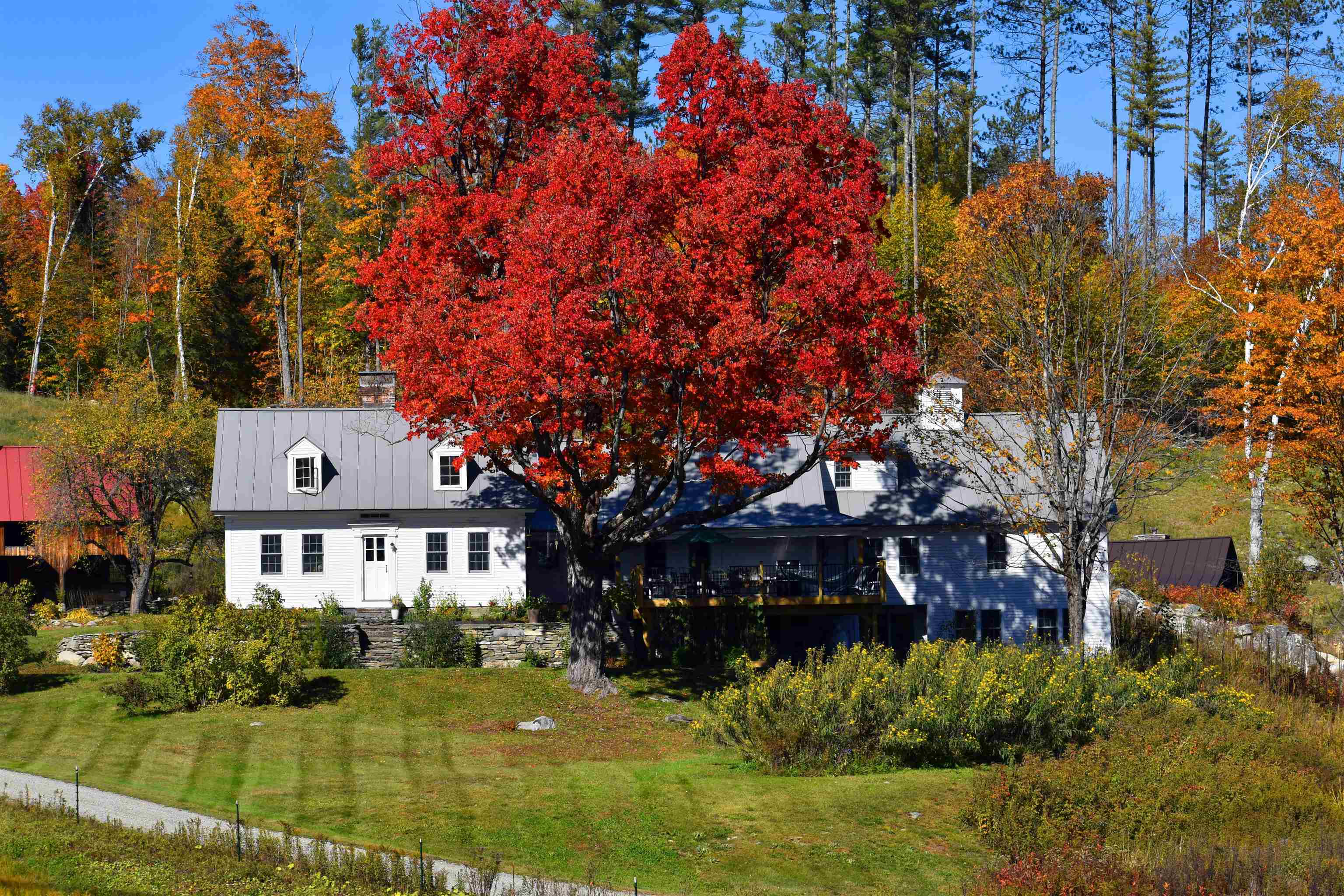 4669 Vermont Rte 100 Londonderry, VT 05148 - Photo 3 of 39