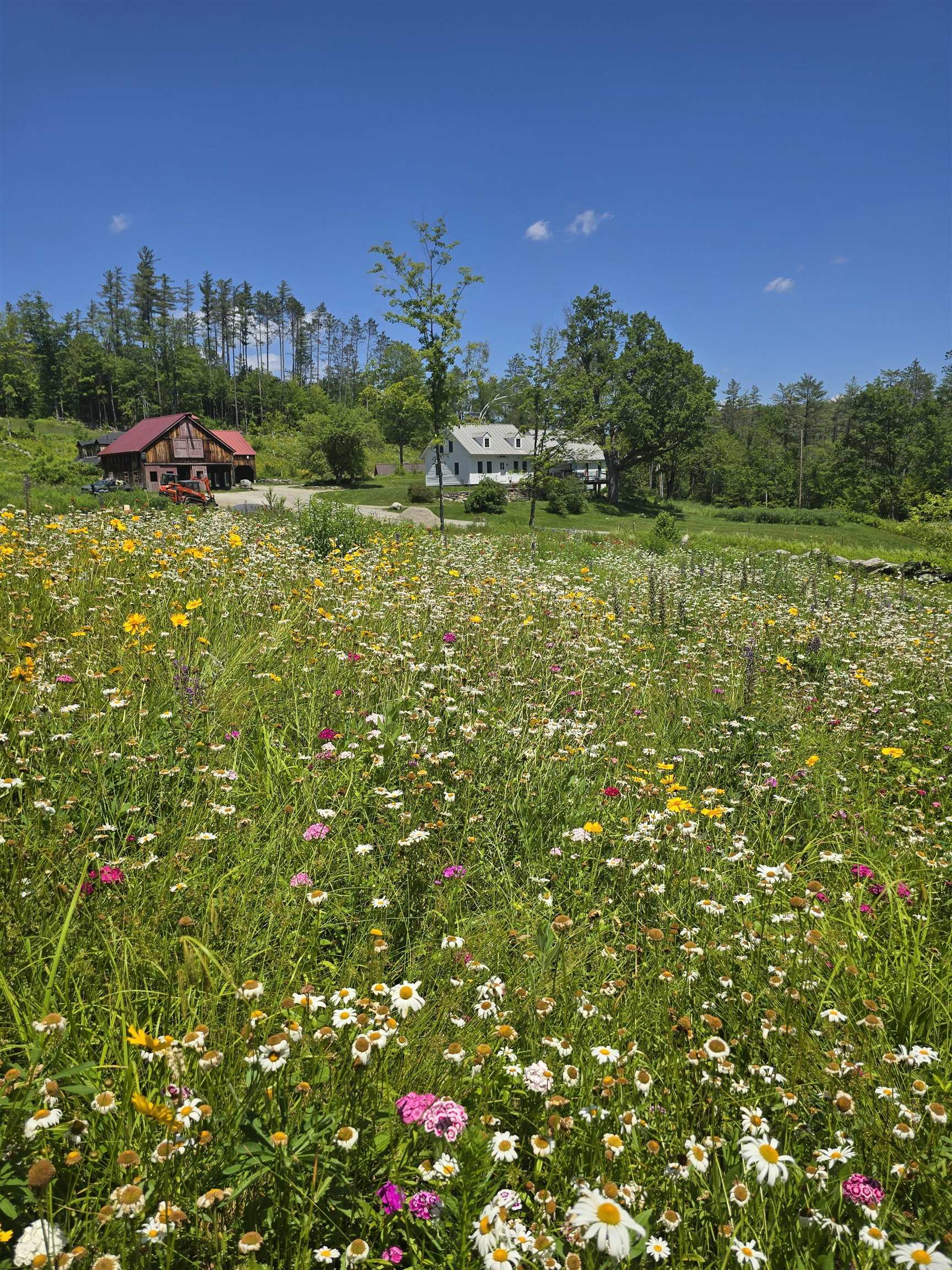 4669 Vermont Rte 100 Londonderry, VT 05148 - Photo 38 of 39