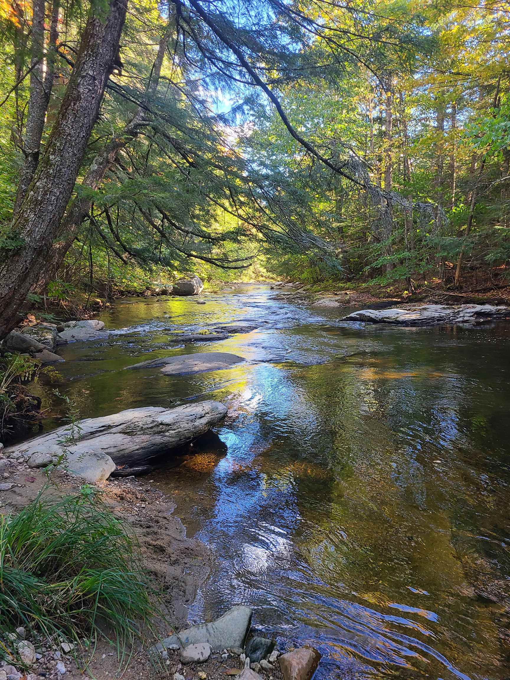 4669 Vermont Rte 100 Londonderry, VT 05148 - Photo 5 of 39