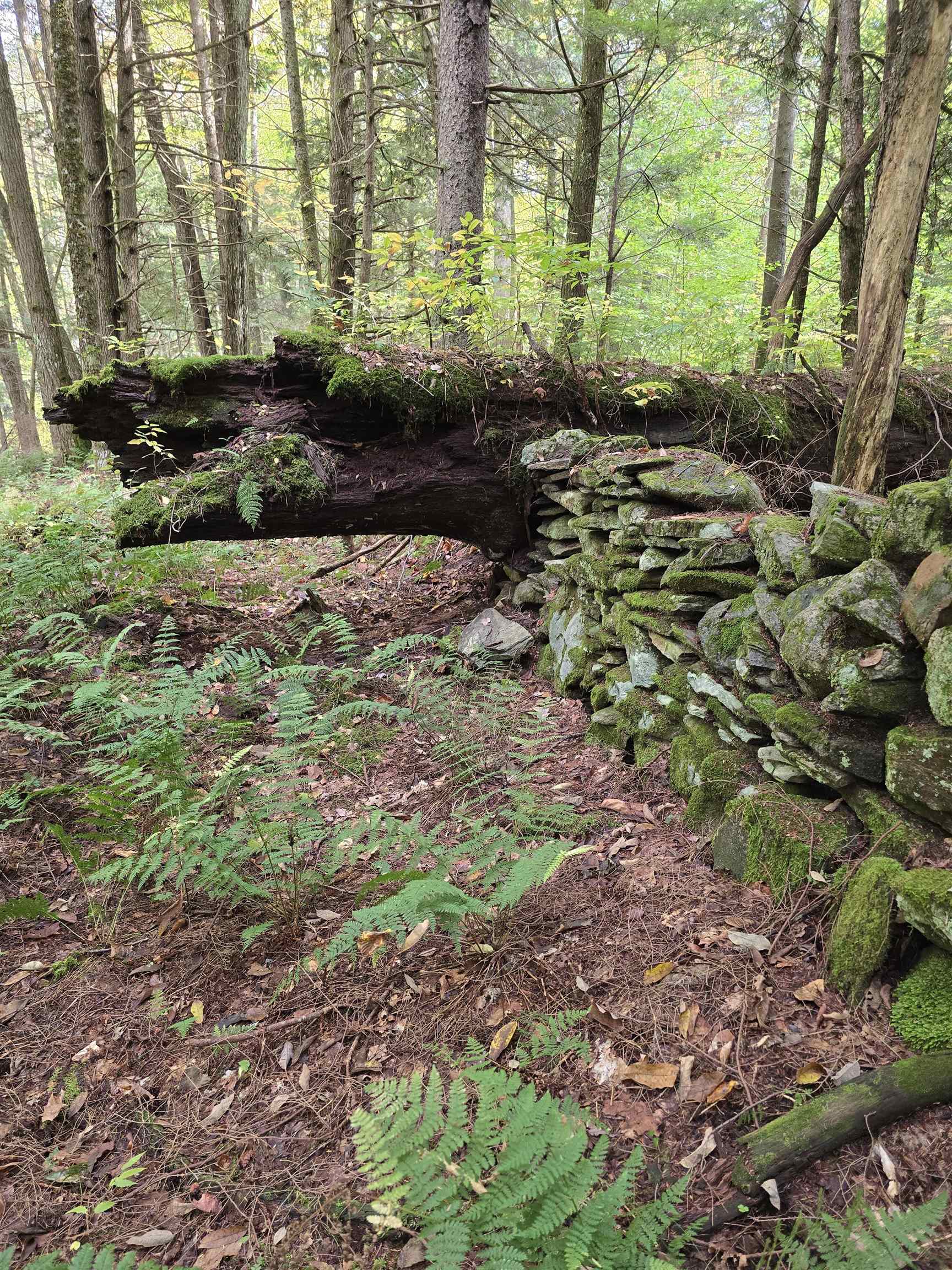 4669 Vermont Rte 100 Londonderry, VT 05148 - Photo 6 of 39