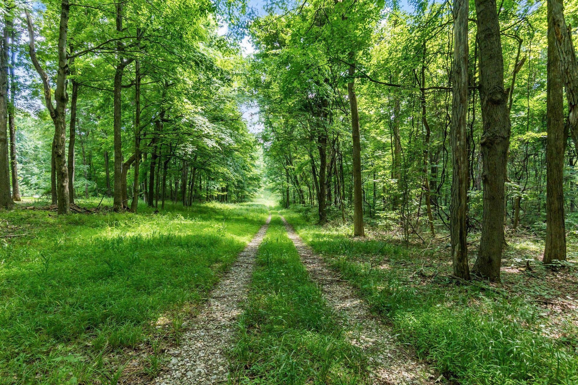 13807 Marshall Road Rockbridge, OH 43149 - Photo 21 of 33