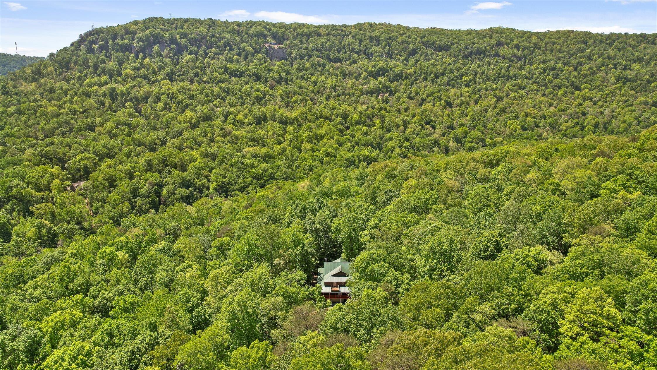 496 Boyd Road Dunlap, TN 37327 - Photo 39 of 39 75-Boyd-75