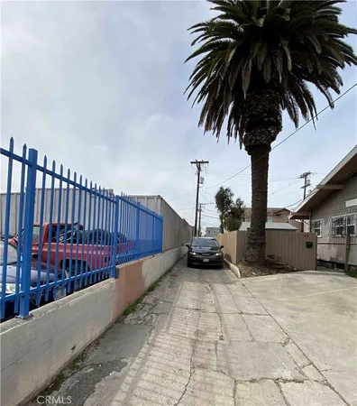 a group of palm trees sitting in front of a house
