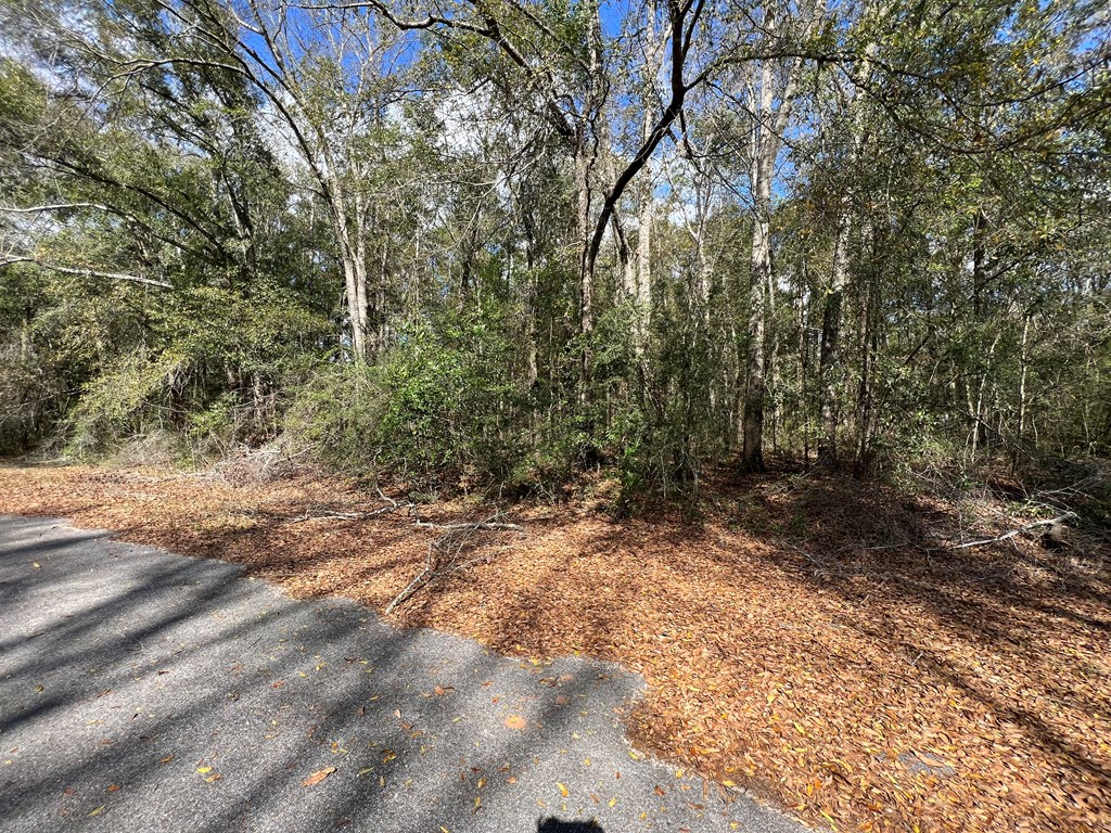 0 5th Avenue Geneva, AL 36340 - Photo 3 of 6