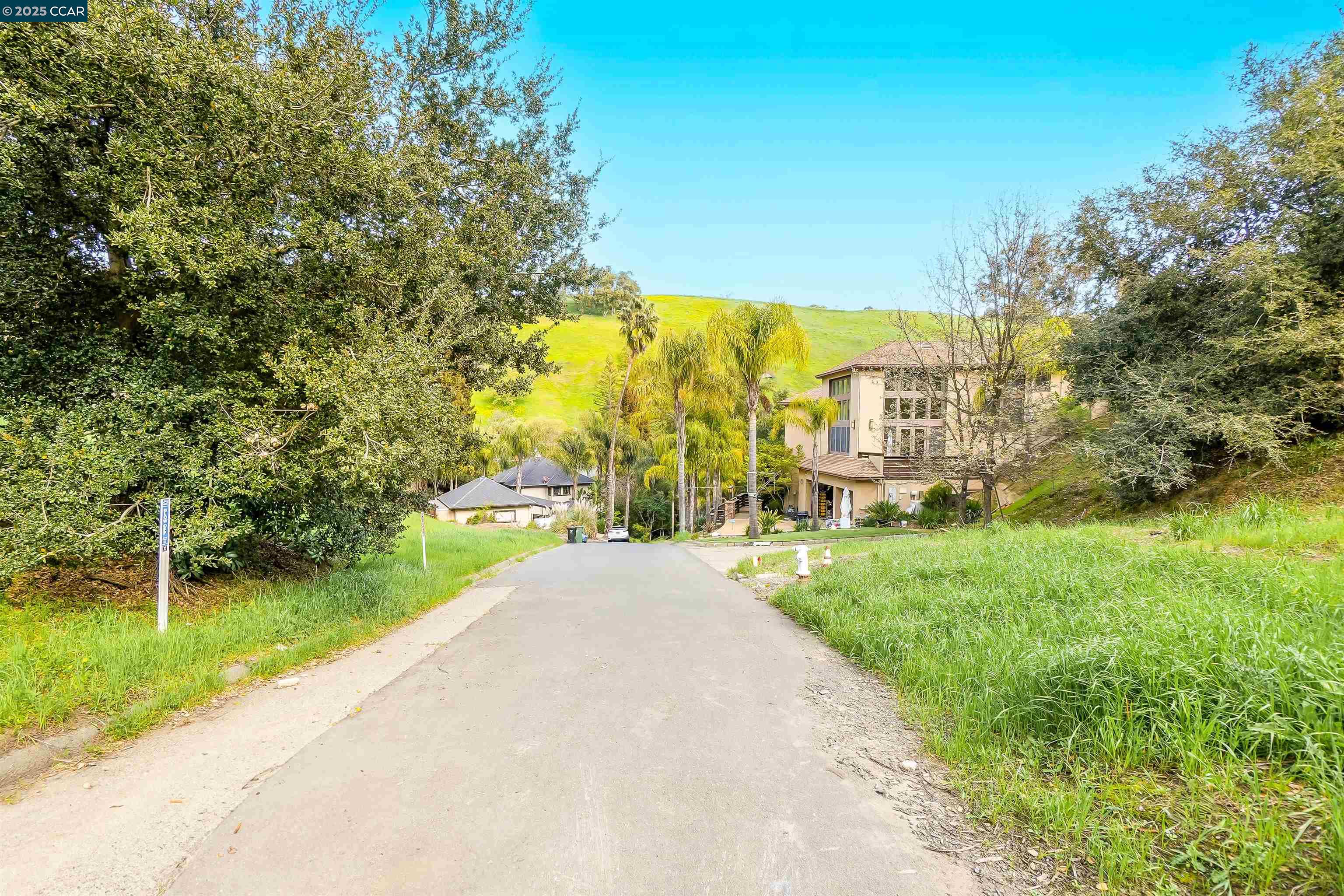 40 Rodrigues Lane Walnut Creek, CA 94597 - Photo 2 of 12 a view of a garden with a building in the background