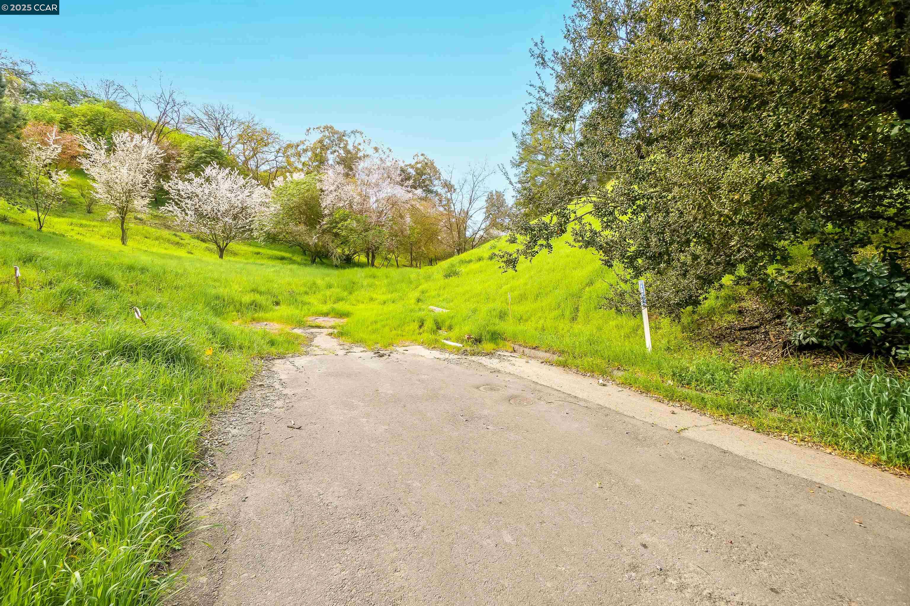40 Rodrigues Lane Walnut Creek, CA 94597 - Photo 4 of 12 a view of a road with a yard