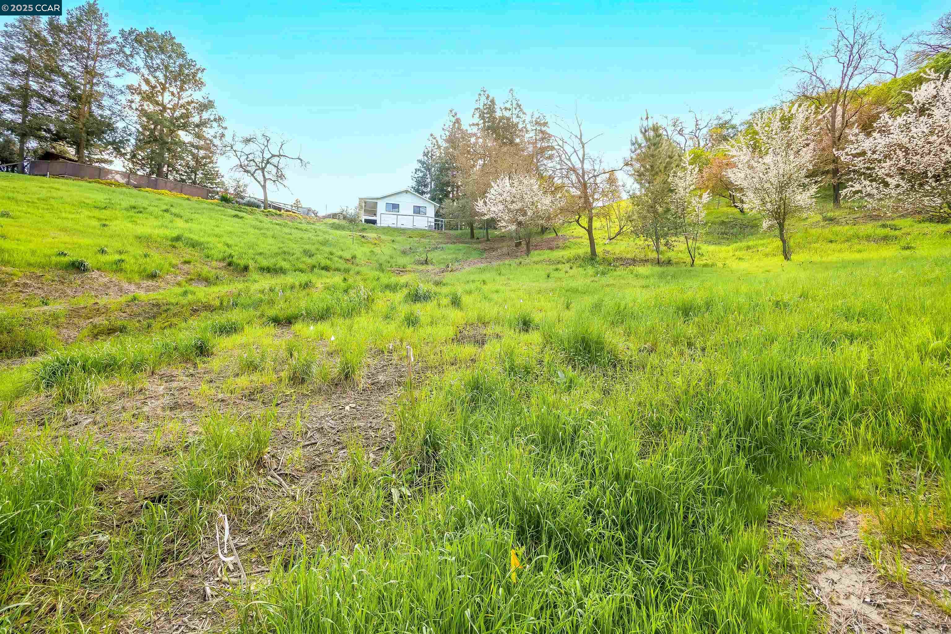 40 Rodrigues Lane Walnut Creek, CA 94597 - Photo 6 of 12