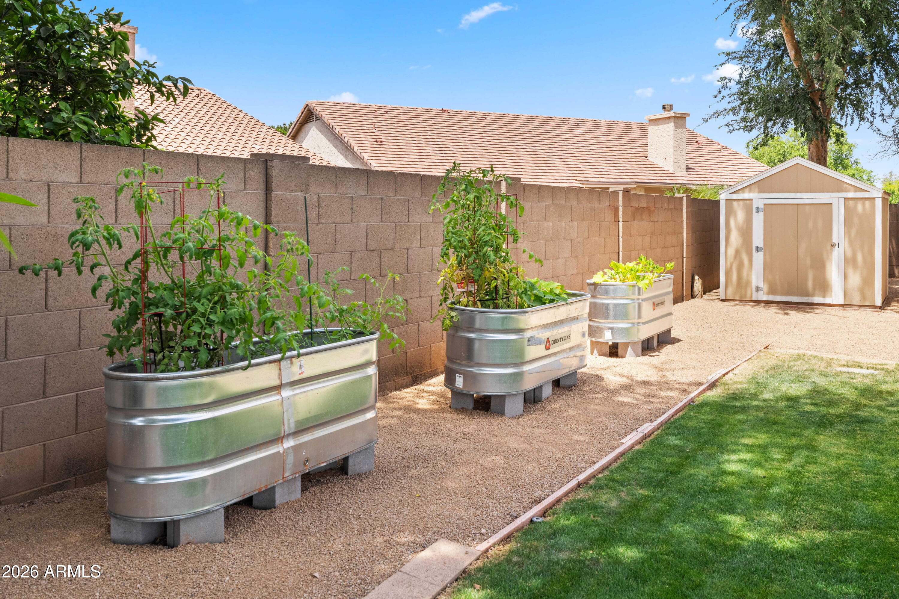 1071 East Ivanhoe Street Gilbert, AZ 85295 - Photo 29 of 41 Gardening area