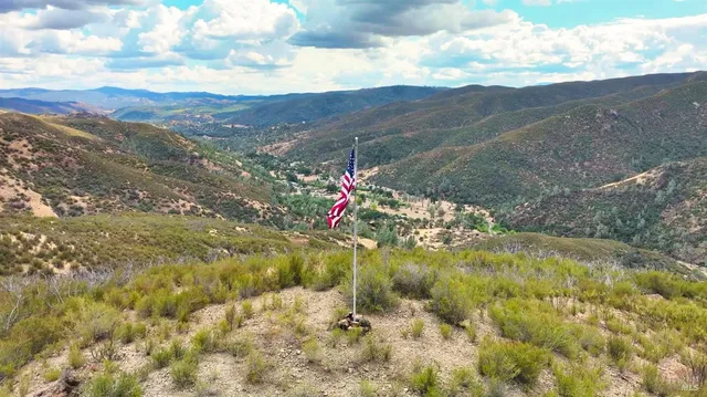 a view of a yard with a tree
