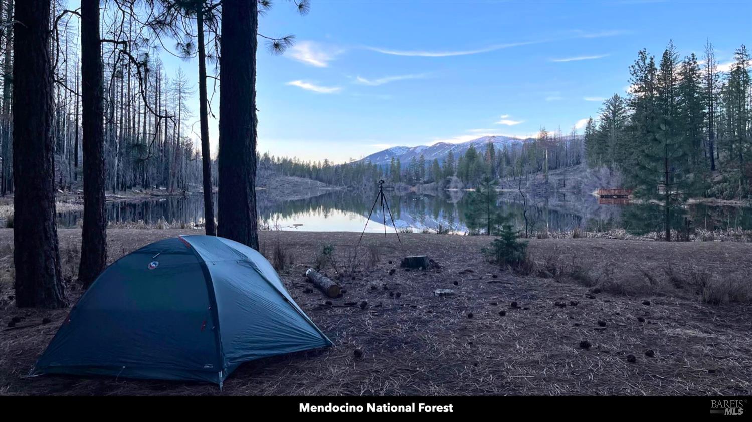 5250 15 N 05 Road Clearlake Oaks, CA 95423 - Photo 14 of 85 a view of a yard in front of a house with a yard