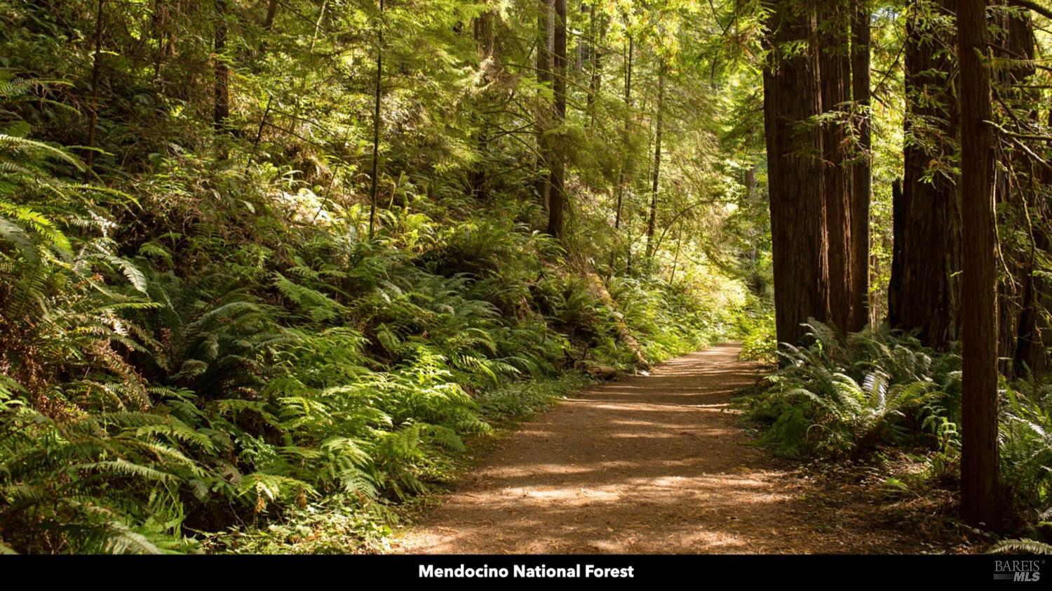 5250 15 N 05 Road Clearlake Oaks, CA 95423 - Photo 16 of 85 a view of backyard with plants and trees