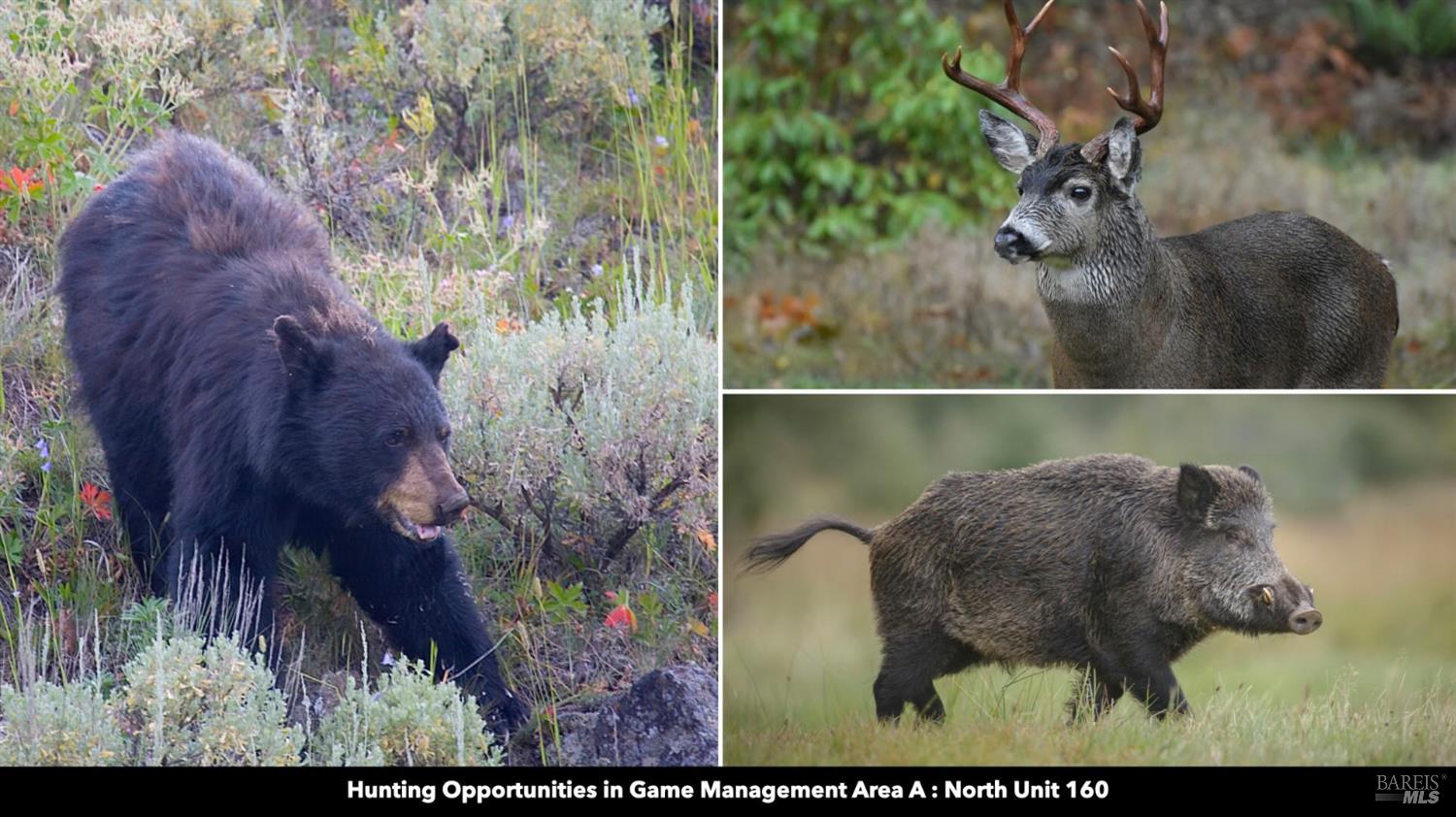 5250 15 N 05 Road Clearlake Oaks, CA 95423 - Photo 21 of 85