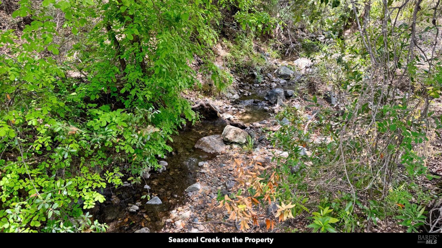 5250 15 N 05 Road Clearlake Oaks, CA 95423 - Photo 5 of 85 a view of a garden