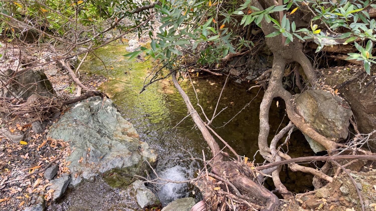 5250 15 N 05 Road Clearlake Oaks, CA 95423 - Photo 53 of 85 a view of an outdoor space with a tree