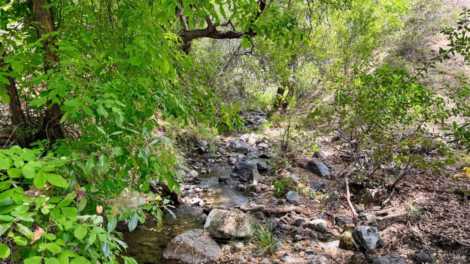 5250 15 N 05 Road Clearlake Oaks, CA 95423 - Photo 55 of 85 a backyard of a house with lots of green space