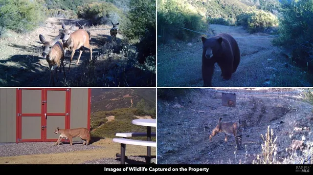 a view of outdoor space