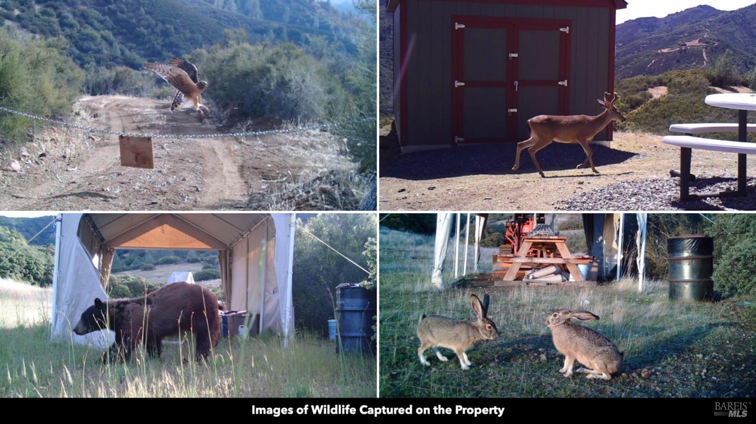 5250 15 N 05 Road Clearlake Oaks, CA 95423 - Photo 7 of 85 an aerial view of houses with a yard