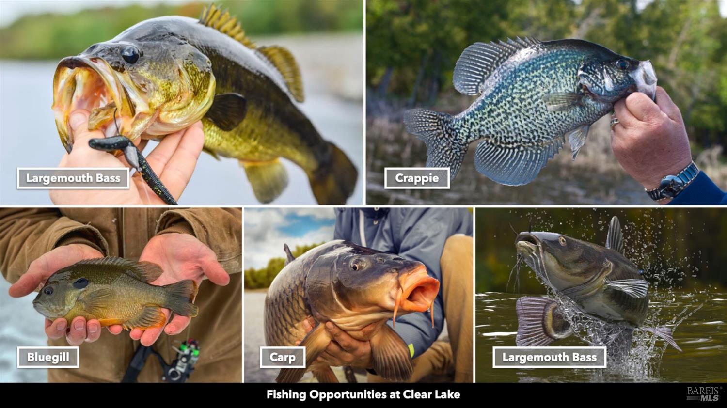 5250 15 N 05 Road Clearlake Oaks, CA 95423 - Photo 72 of 85