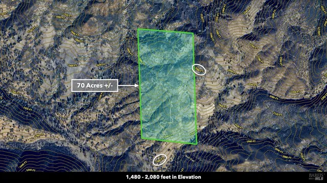 a view of a sign in a garden