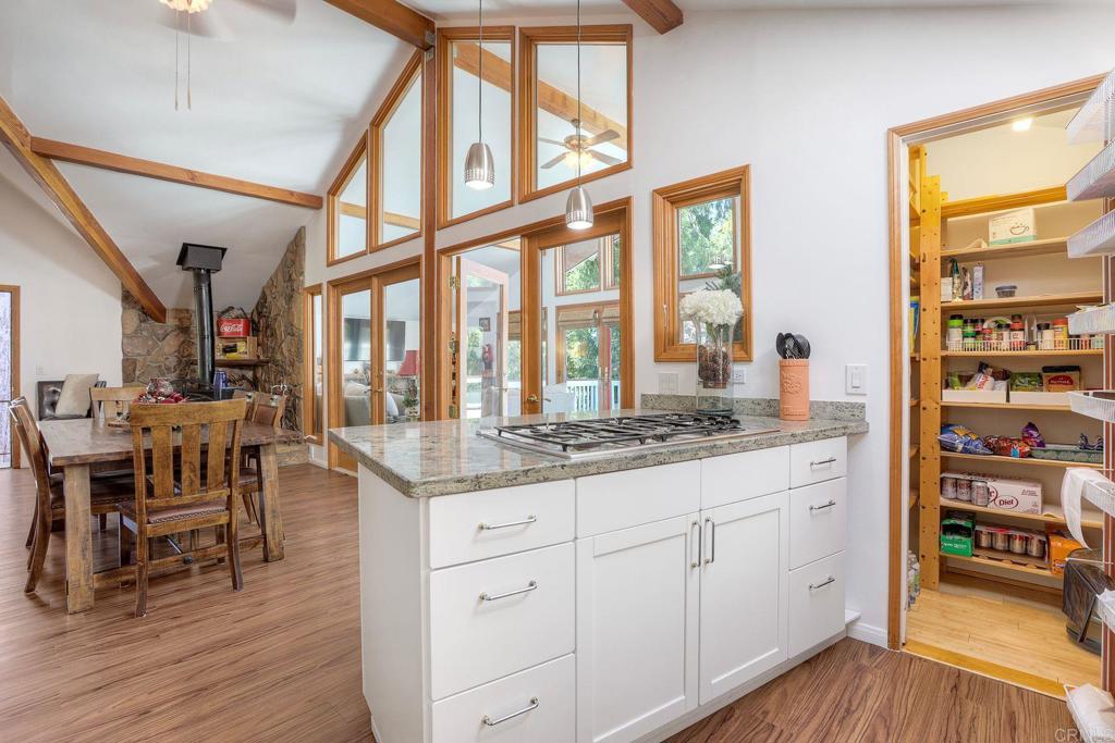 22223 Crestline Road Palomar Mountain, CA 92060 - Photo 69 of 90