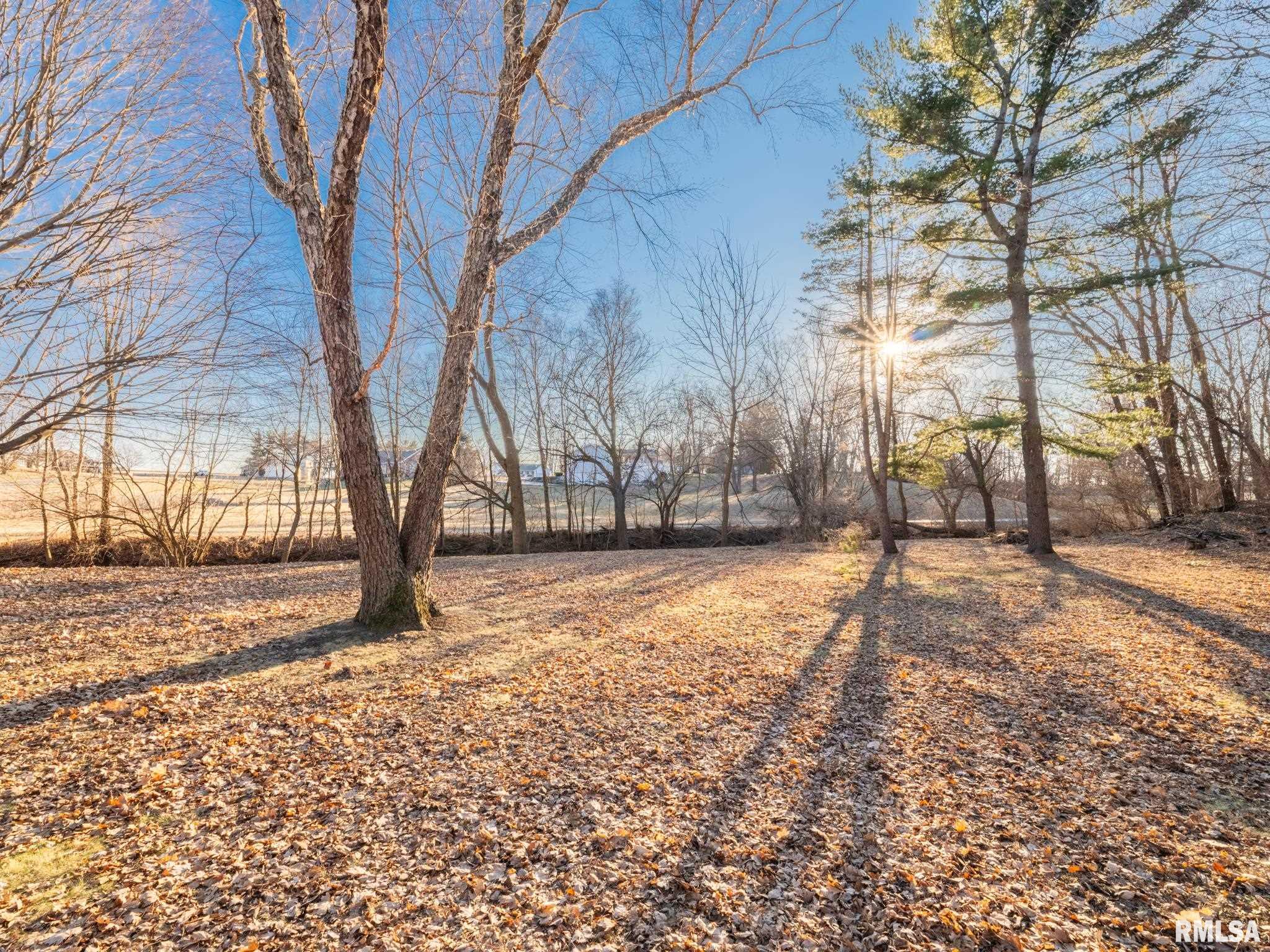 103 Edgebrook Court Washburn, IL 61570 - Photo 30 of 35