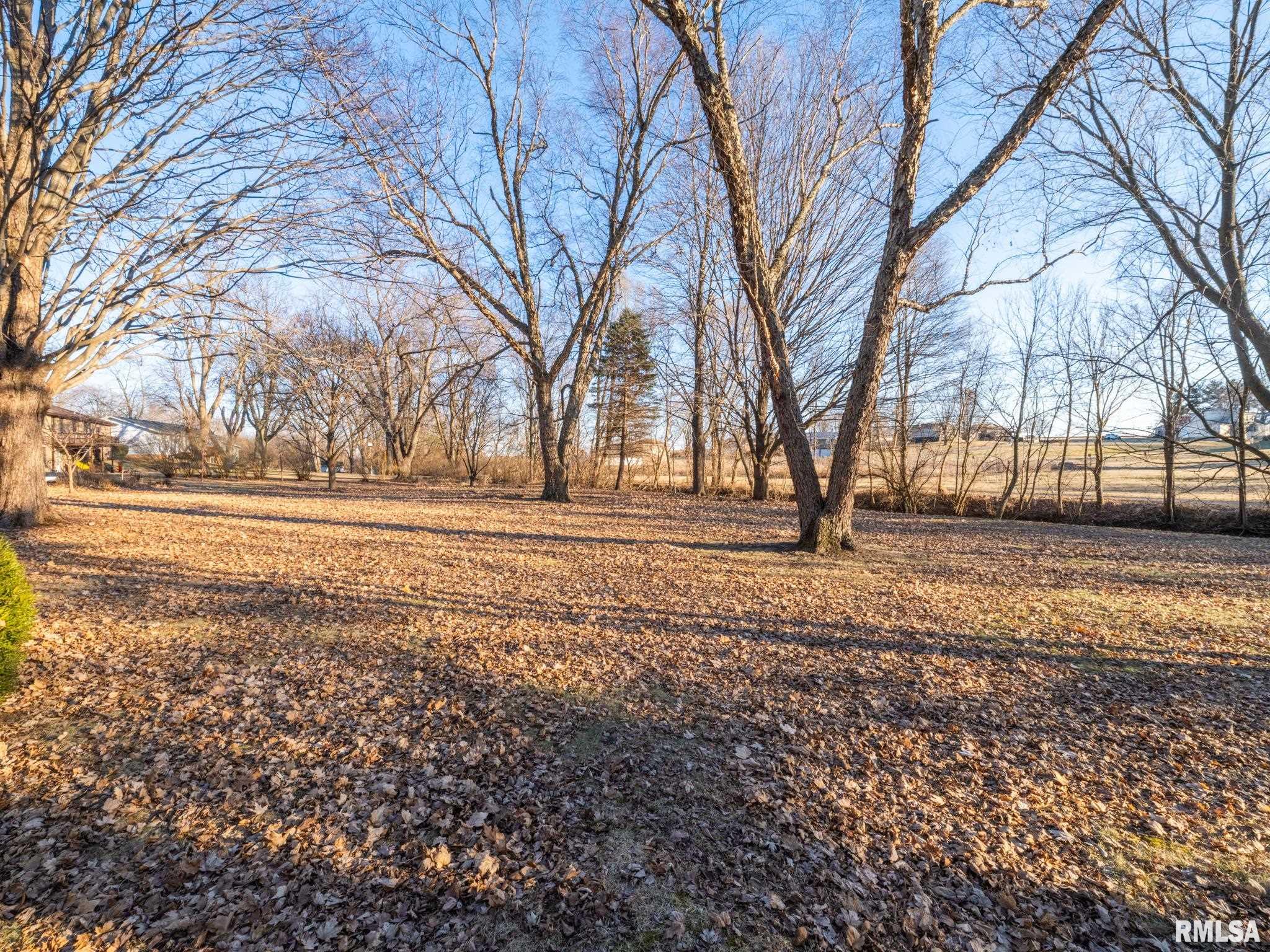 103 Edgebrook Court Washburn, IL 61570 - Photo 31 of 35