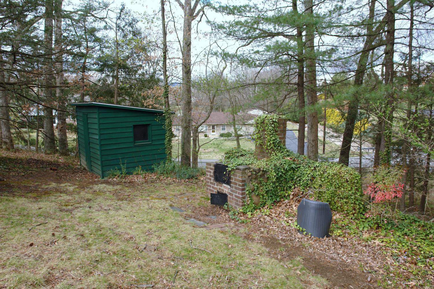 3333 Mud Lick Road Southwest Roanoke, VA 24018 - Photo 43 of 48 x storage shed and brick bar b q