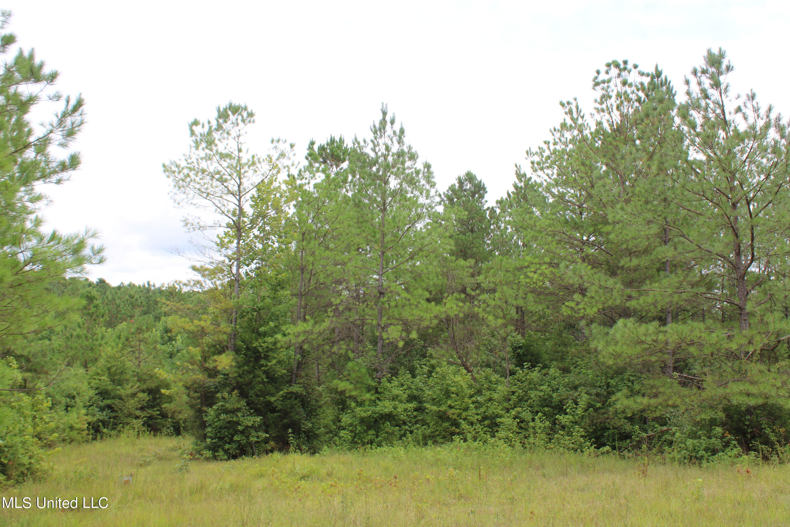 392 Mckee Road Falkner, MS 38629 - Photo 13 of 27 IMG_4190