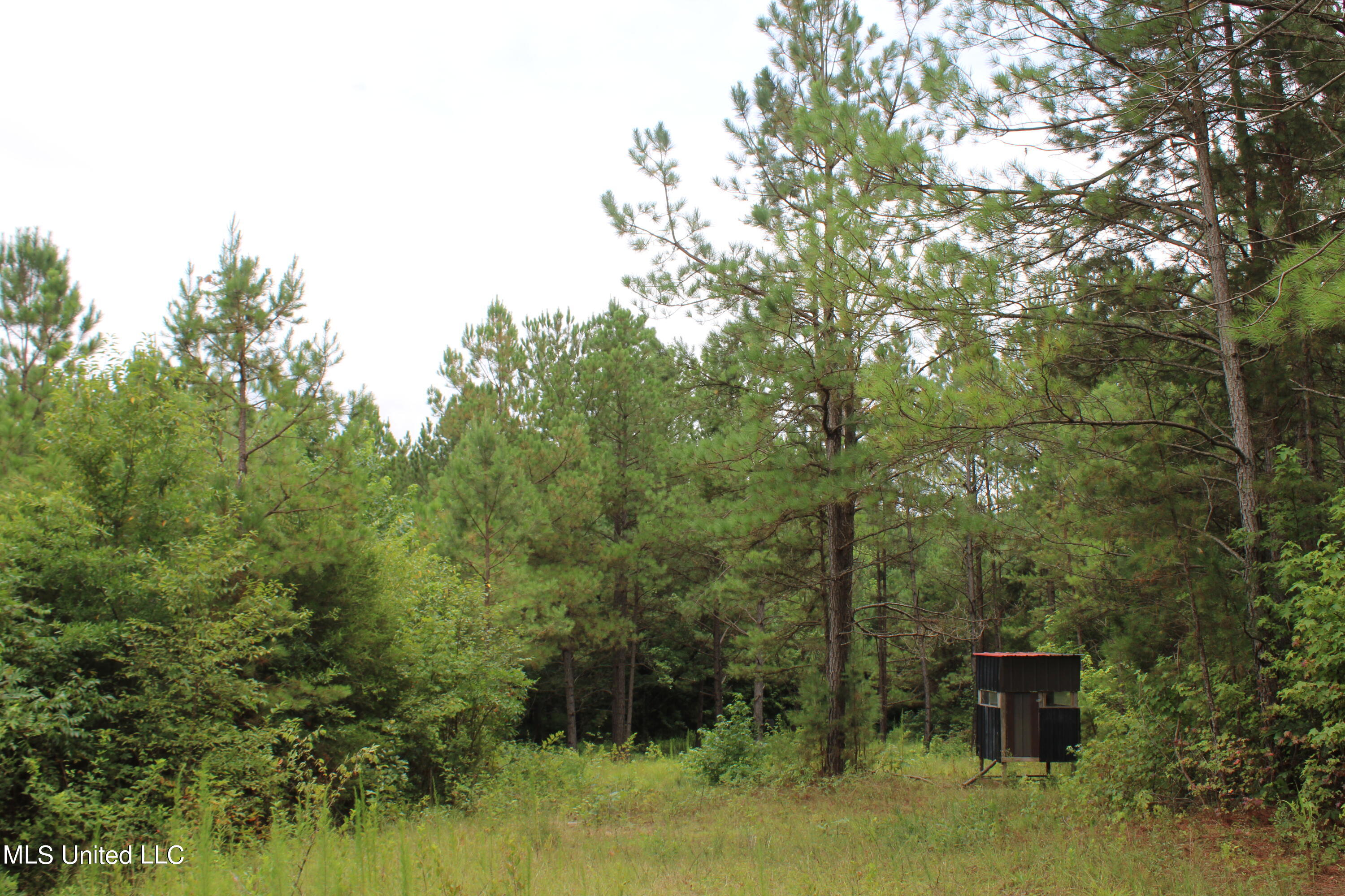 392 Mckee Road Falkner, MS 38629 - Photo 15 of 27 IMG_4192