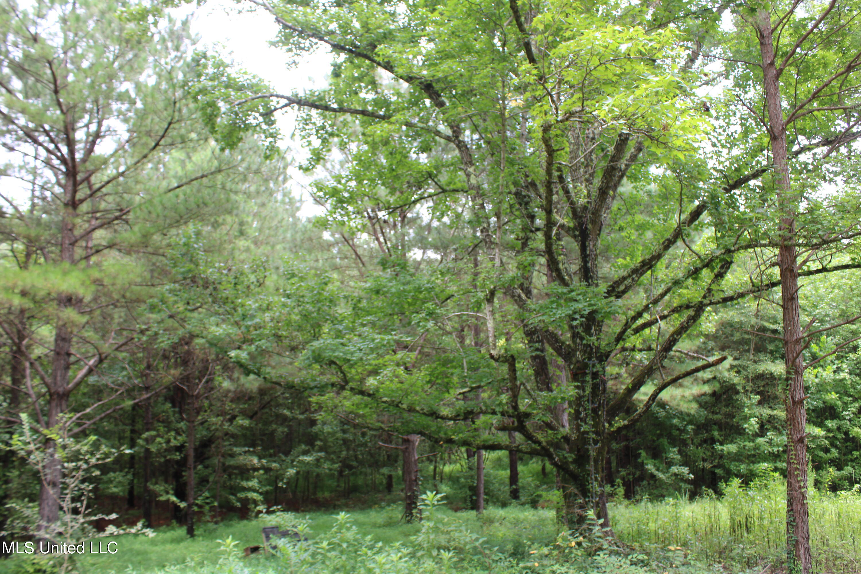 392 Mckee Road Falkner, MS 38629 - Photo 17 of 27 IMG_4194