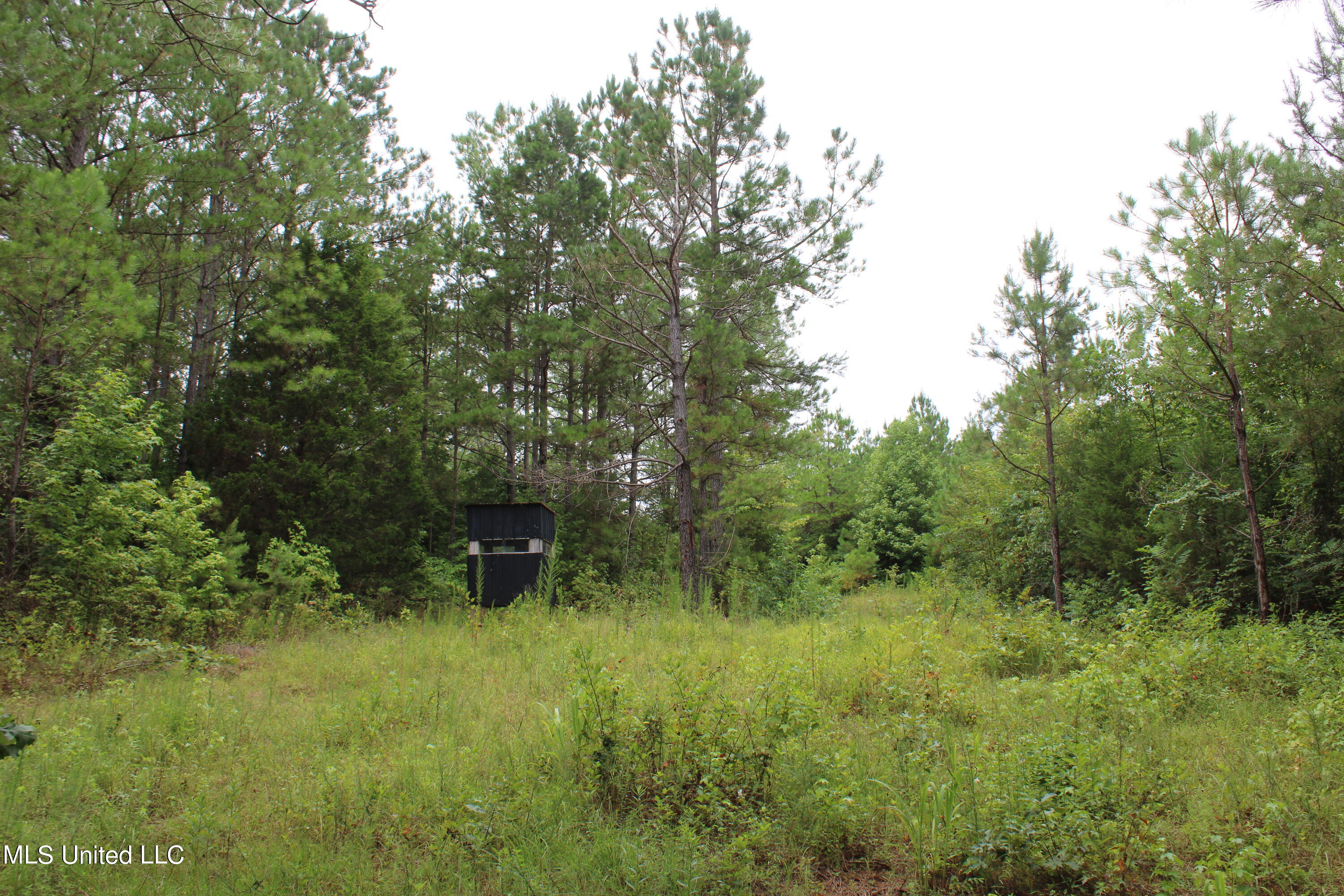 392 Mckee Road Falkner, MS 38629 - Photo 18 of 27 IMG_4195