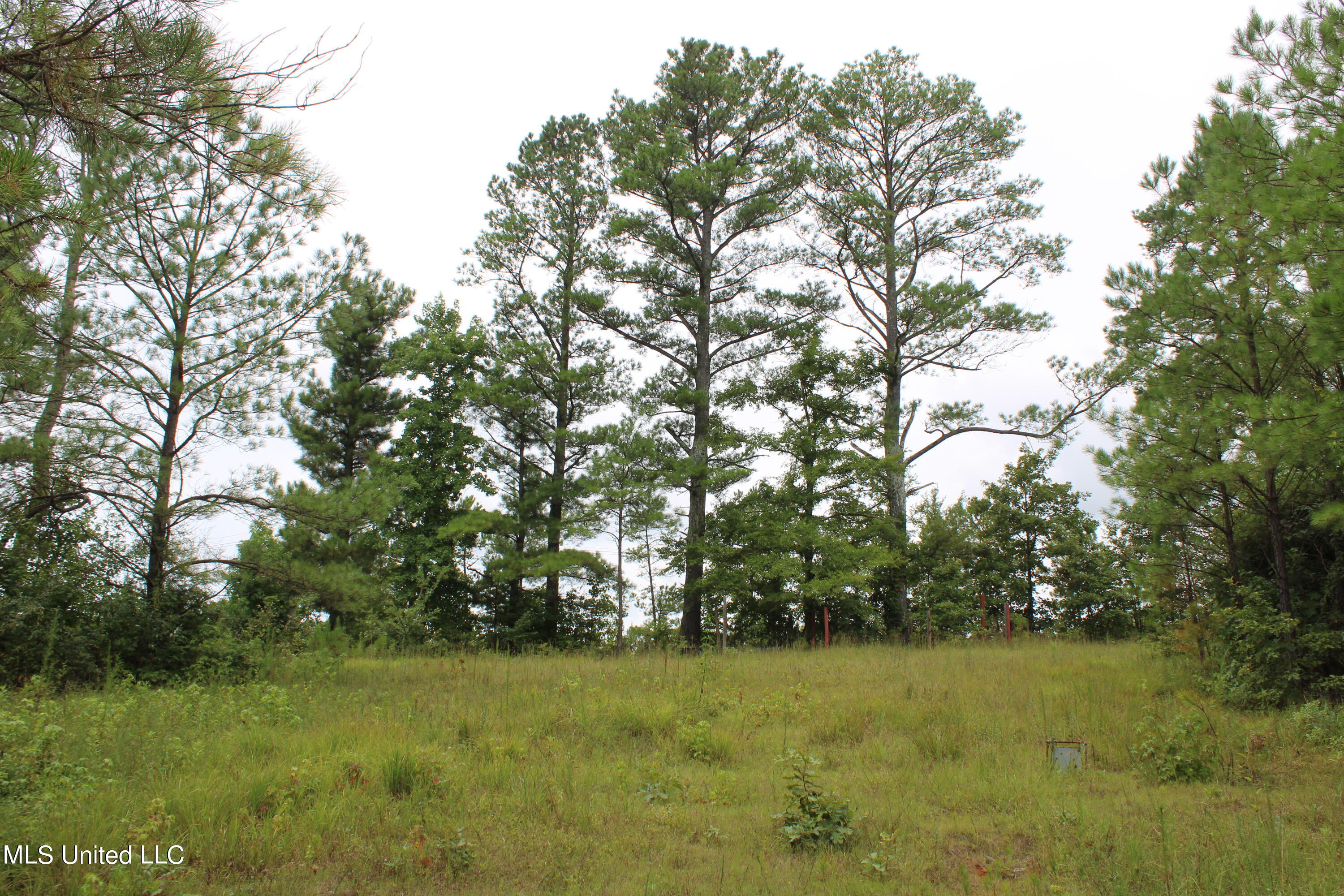 392 Mckee Road Falkner, MS 38629 - Photo 19 of 27 IMG_4196