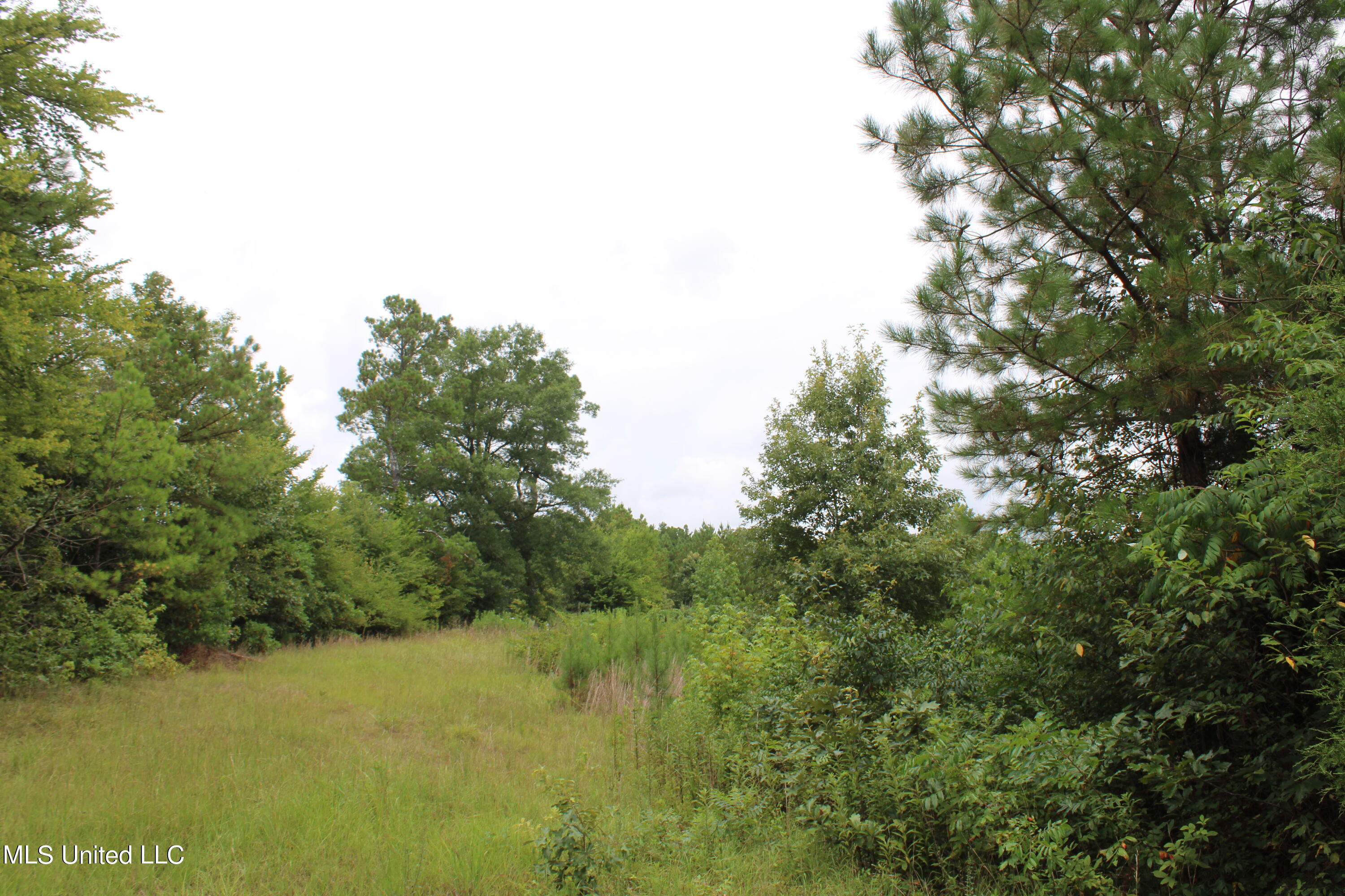 392 Mckee Road Falkner, MS 38629 - Photo 20 of 27 IMG_4197
