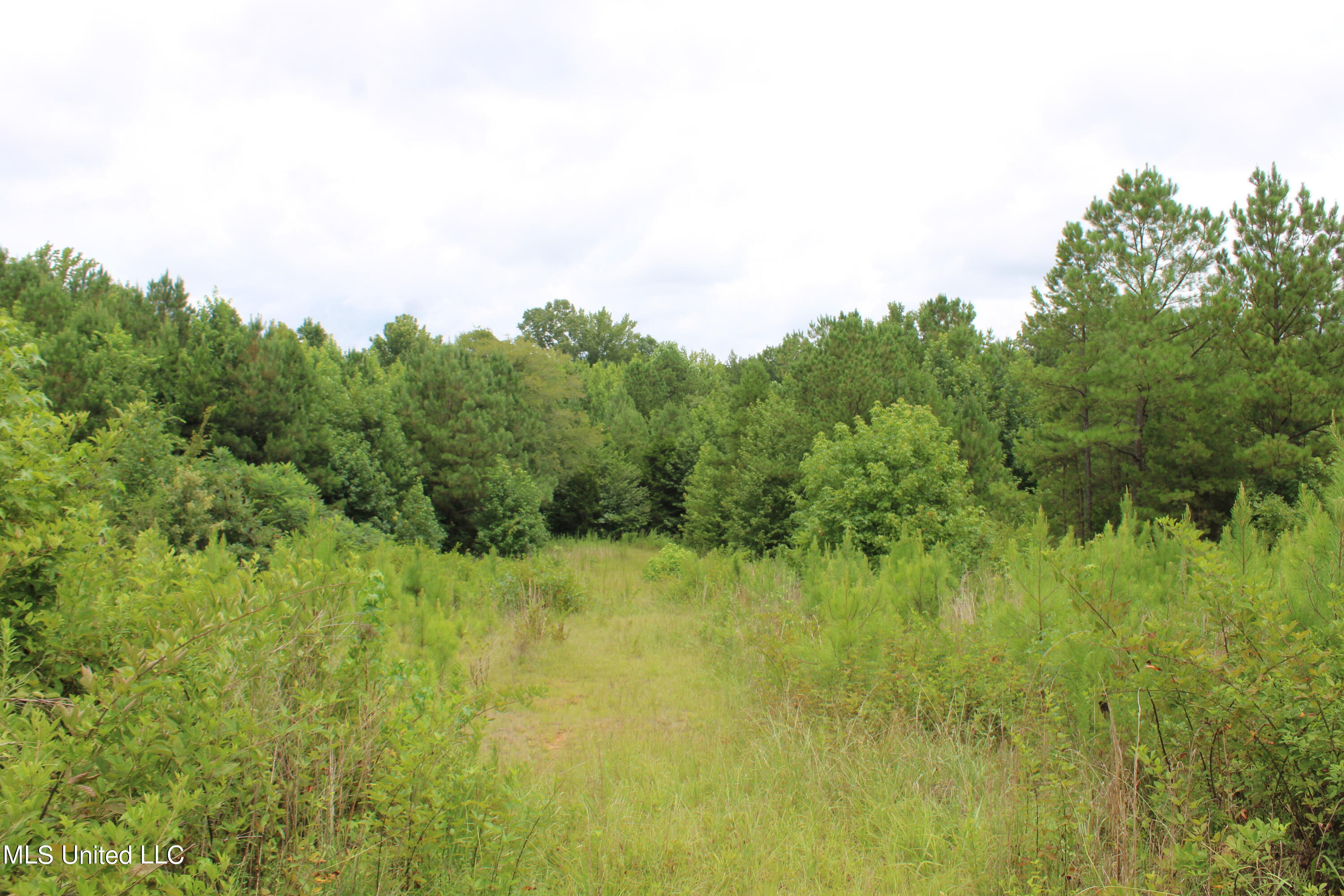 392 Mckee Road Falkner, MS 38629 - Photo 21 of 27 IMG_4198