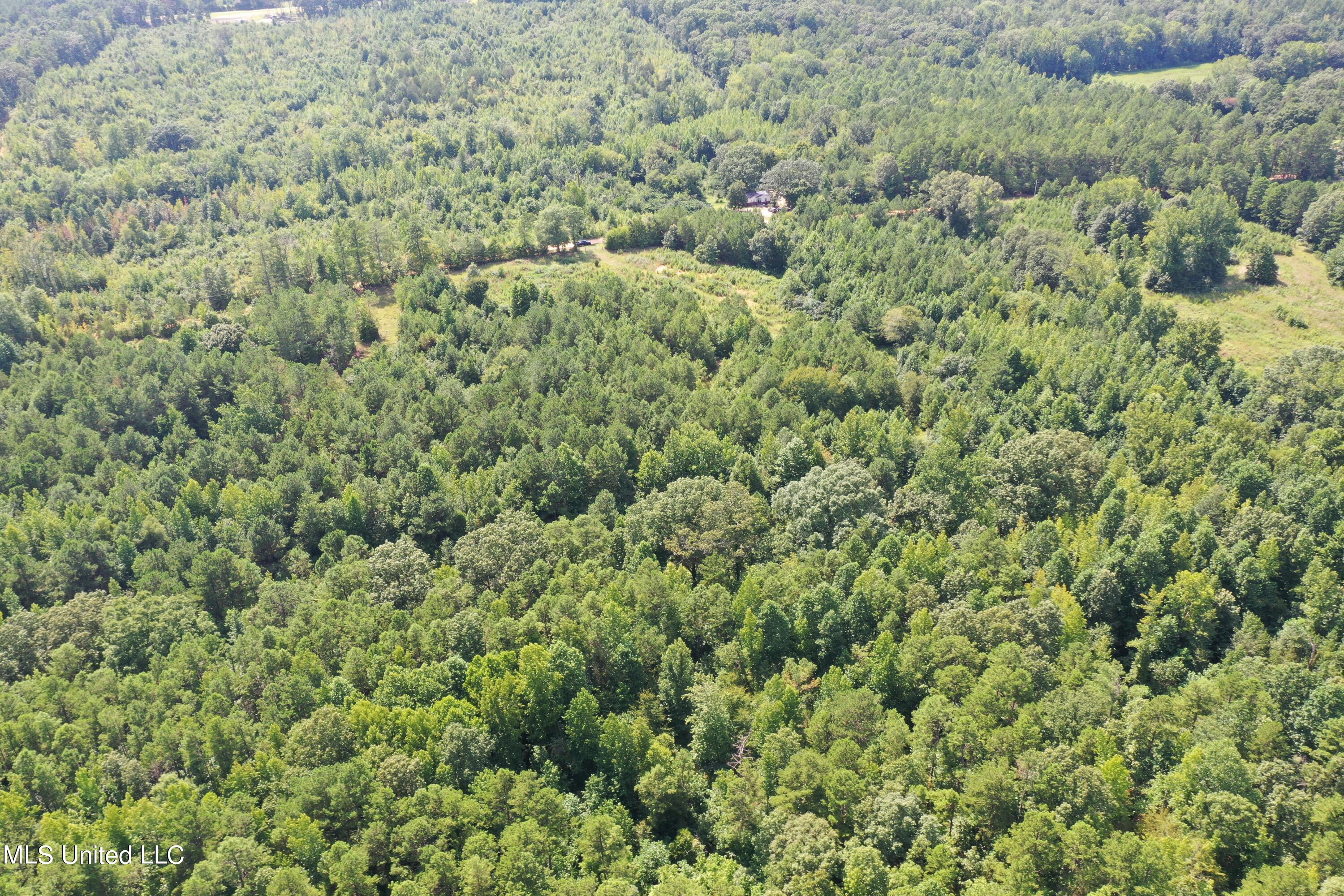 392 Mckee Road Falkner, MS 38629 - Photo 3 of 27 DJI_0422