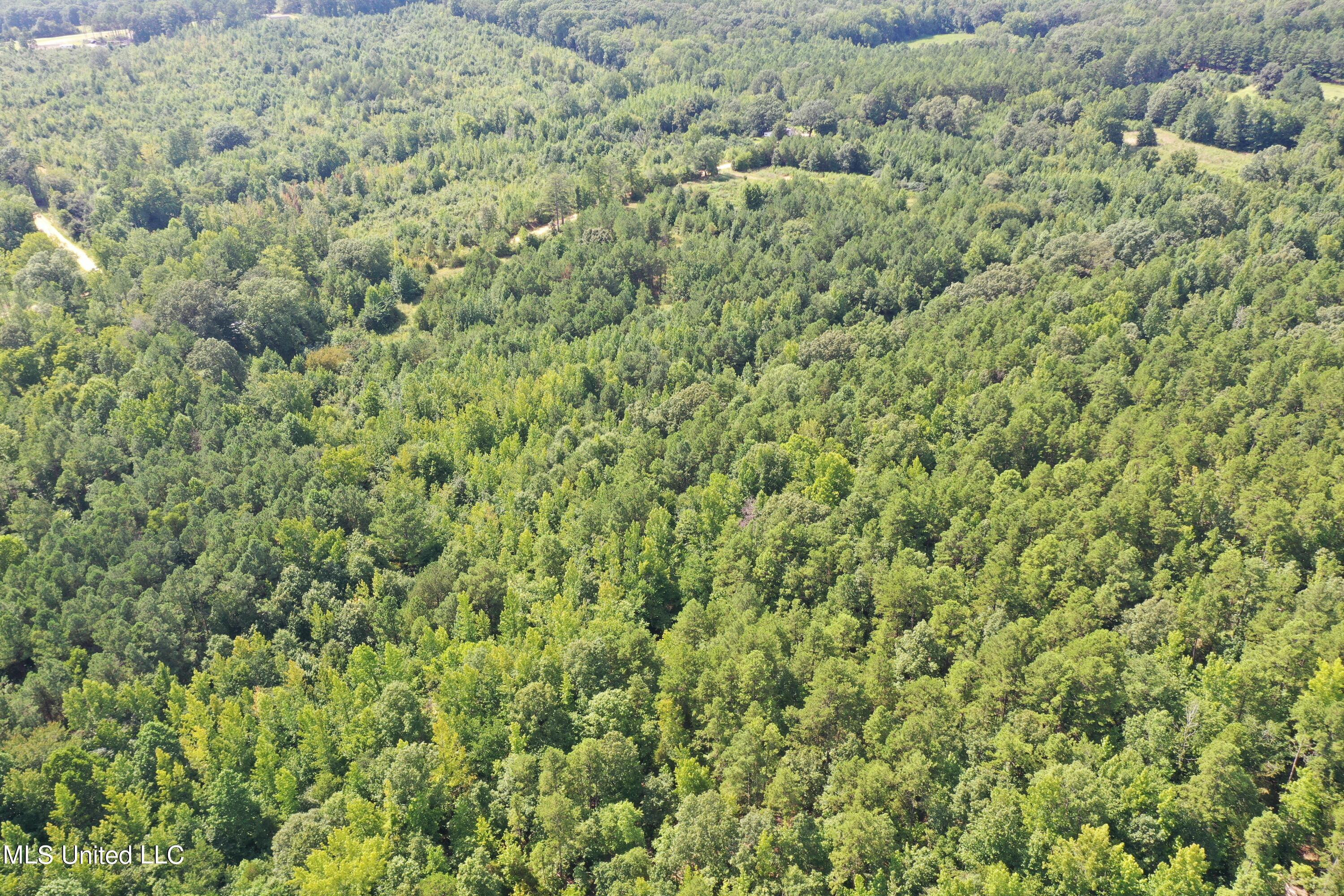 392 Mckee Road Falkner, MS 38629 - Photo 4 of 27 DJI_0423