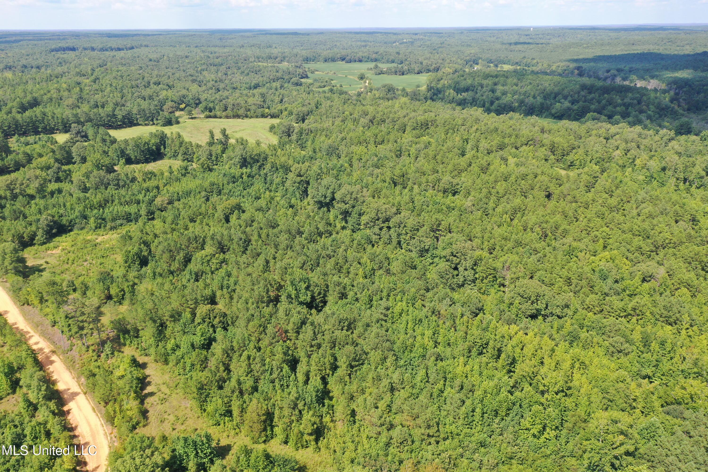 392 Mckee Road Falkner, MS 38629 - Photo 5 of 27 DJI_0424