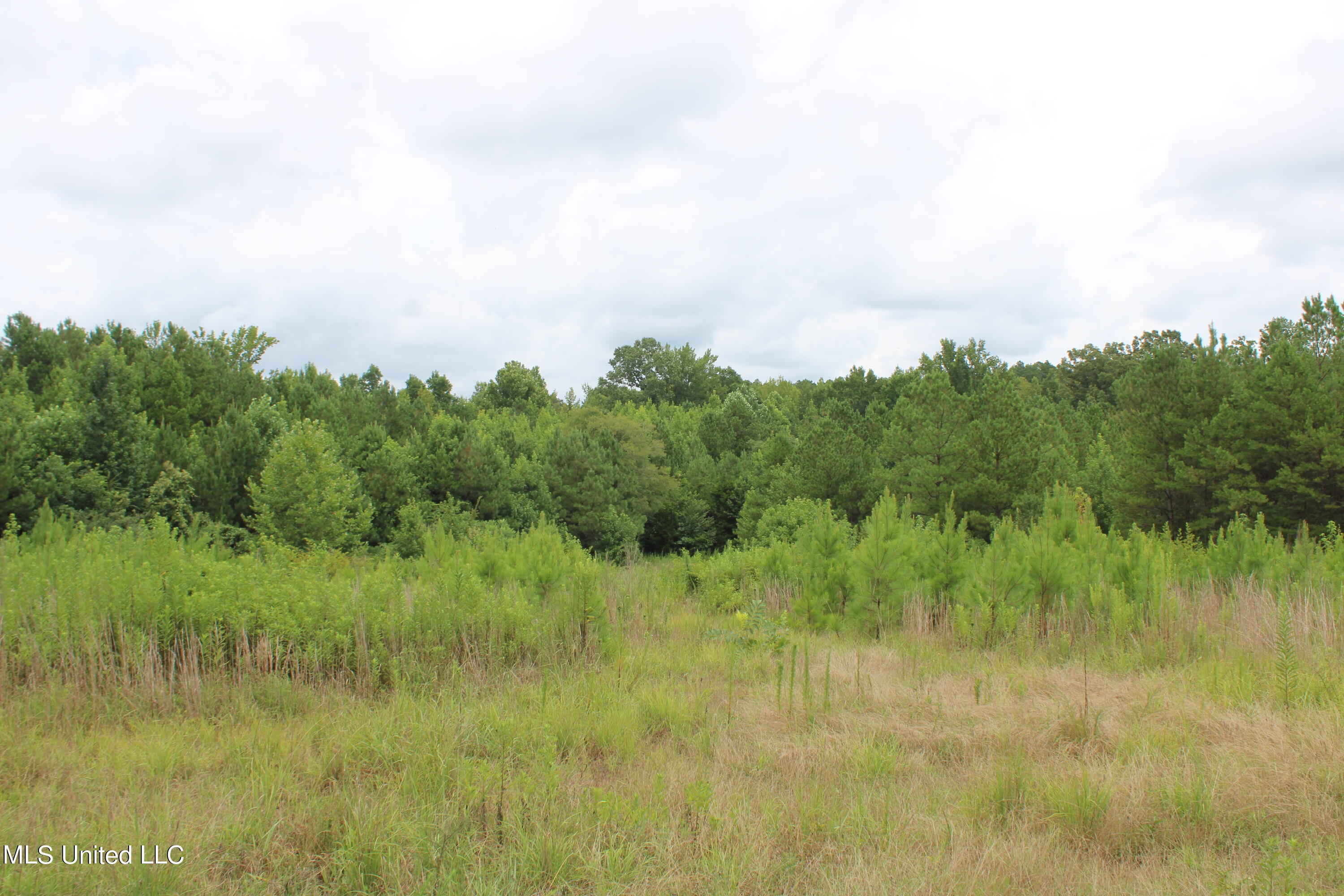 392 Mckee Road Falkner, MS 38629 - Photo 8 of 27 IMG_4188