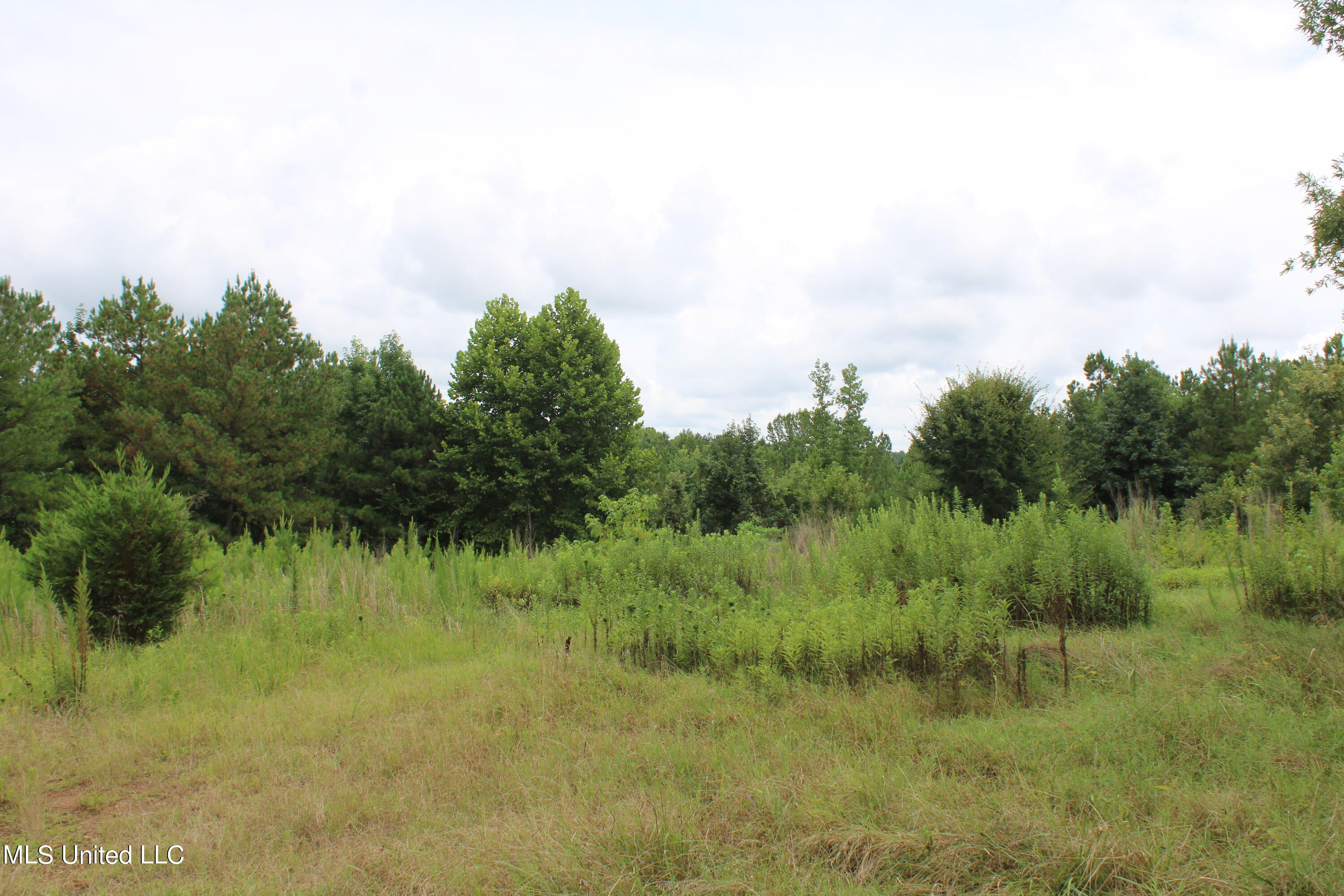 392 Mckee Road Falkner, MS 38629 - Photo 9 of 27 land