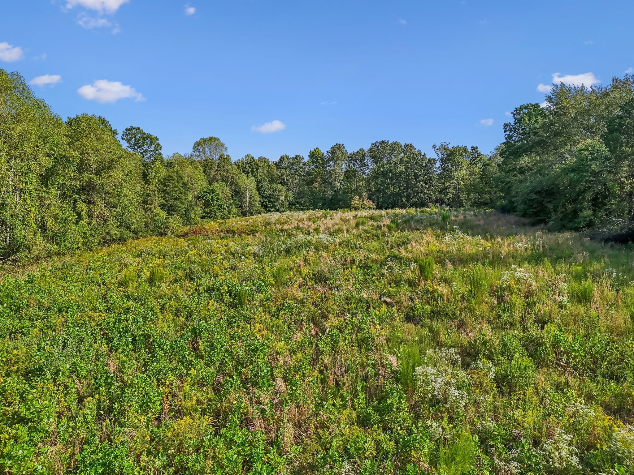 5944 Manchester Highway Morrison, TN 37357 - Photo 12 of 14 a view of a green field with lots of bushes