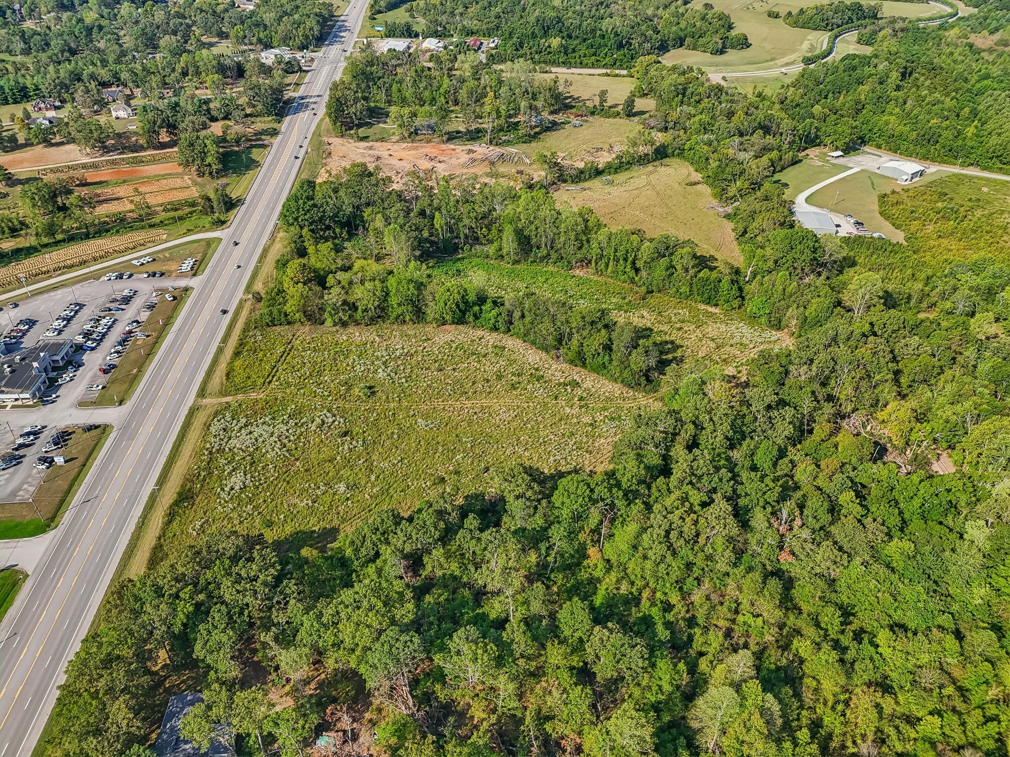 5944 Manchester Highway Morrison, TN 37357 - Photo 8 of 14 a view of a yard with plants