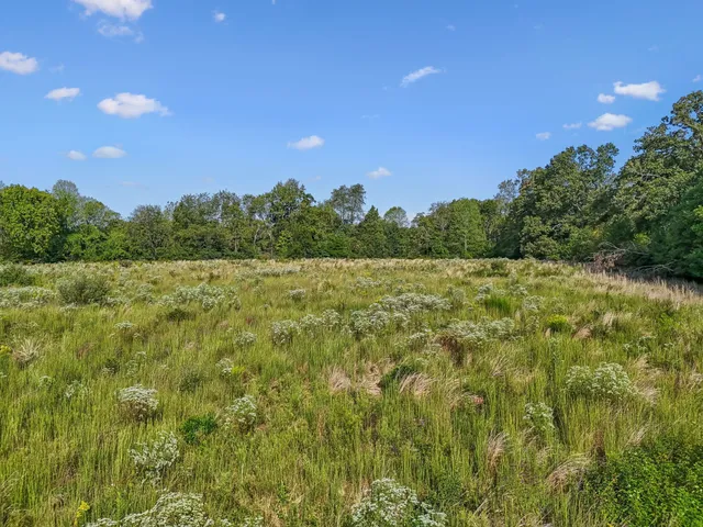 a view of a field with an ocean